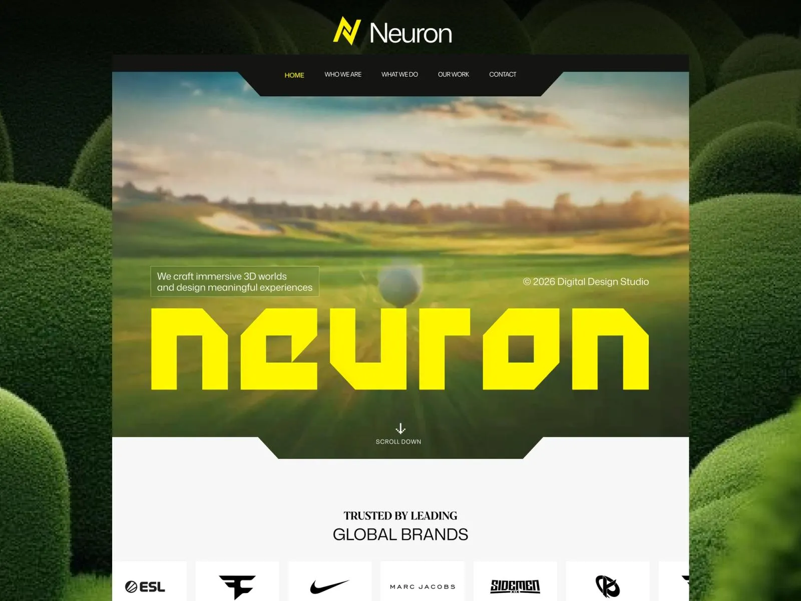 Video-heavy Framer Website Design and Development